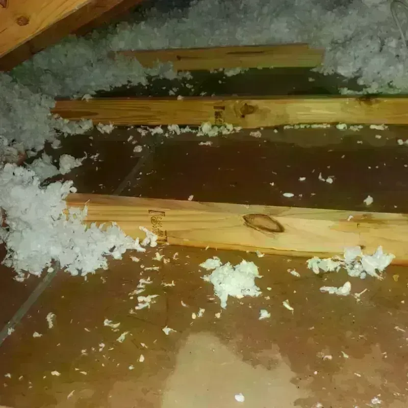 Attic Water Damage in Fayette, ME